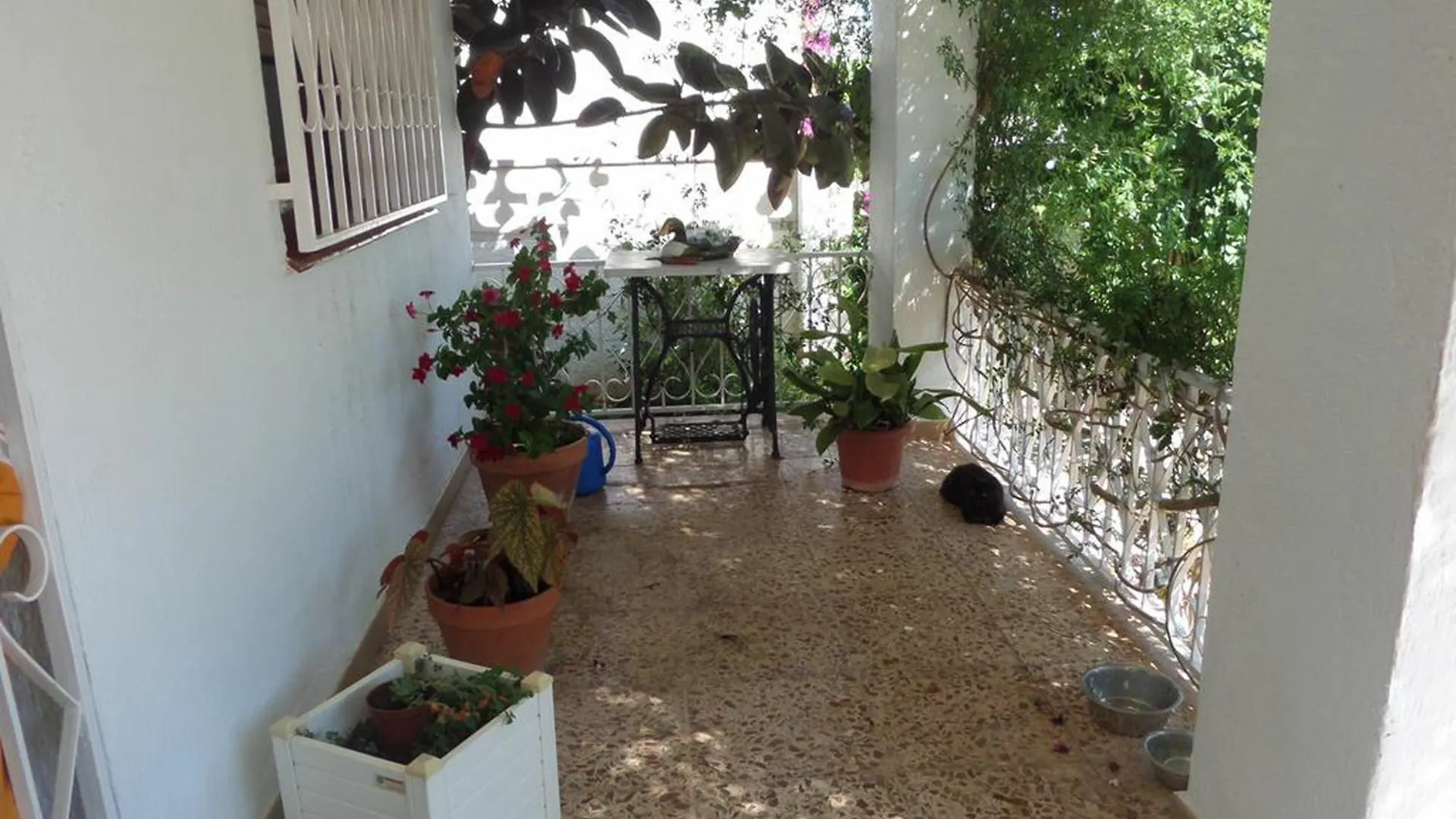 Casa Diana Villa Miami Playa